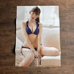 小嶋陽菜 両面ポスター 切り抜き