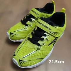 Item thumbnail for item 76dba7d5-0640-470d-8443-4abc167315c7