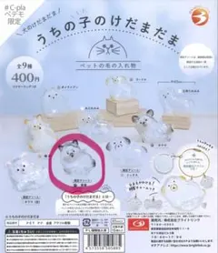 【新品・未開封】ガチャガチャ うちの子のけだまだま 黒柴 ペテモ限定