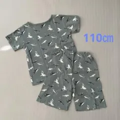 Item thumbnail for item 552256ea-29fa-4e0e-afc3-83e2a67c896f