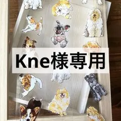 Kne。同梱割220円。様 リクエスト 4点 まとめ商品