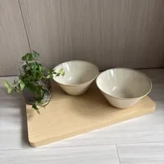 新品・未使用「無印良品」美濃焼 麺鉢2点セットのサムネイル