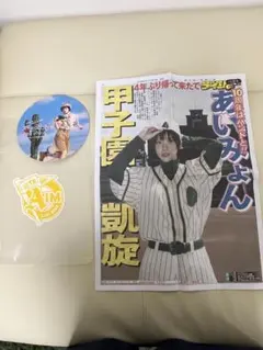 あいみょん サーチライトLIVE限定 ペンライト 甲子園球場 野球バット型