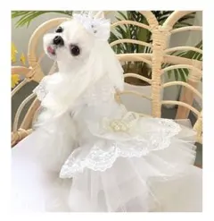 Item thumbnail for item 5e2e038d-dbb8-42f6-b468-17c7a80e8c8c