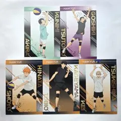 ハイキュー!! アニメイト 特典 ポストカード 日向 影山 月島 国見 五色