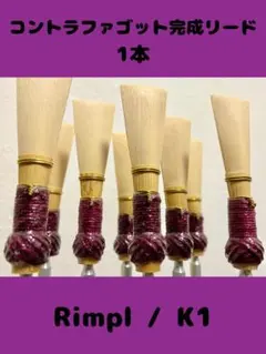 Item thumbnail for item 5bb6550d-0bb5-468e-bdc7-661a3ec53235