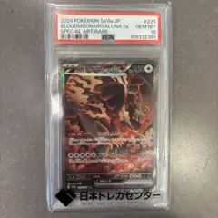 PSA10 烈箭熊（曉月）ex