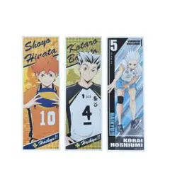 ハイキュー‼︎ ロングステッカー 日向翔陽、木兎光太郎 、星海光来
