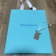 【新品】ティファニー　ショッパー　限定チャーム　2点セット
