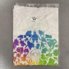 ポケモン GO Tシャツ Sサイズ 2019 go fest