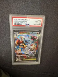 2026年最新】ルカリオex psa10の人気アイテム - メルカリ