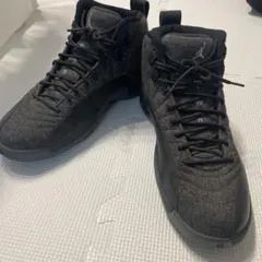 【激レア】ナイキ エア ジョーダン 12 レトロ ウール 26.5cm