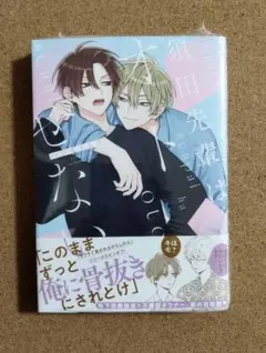 新刊未読◆須田先輩はオトせない／ハシモトミツ◆シュリンク付