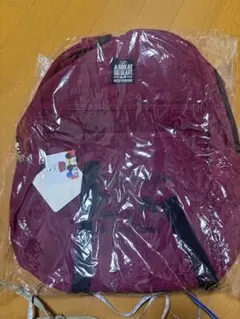 Disney ミッキーミニー コーデュロイ リュックサック