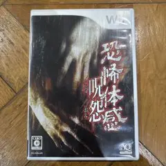 恐怖体験 呪怨 Wii