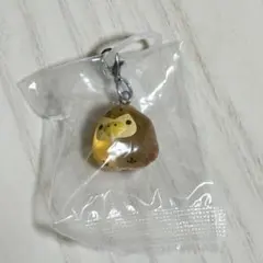 きょうりゅう着ぐるみフィギュア めじるしアクセサリー キイロイトリ