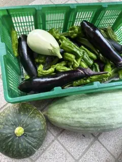 パンダ様専用です。新鮮野菜詰め合わせです。