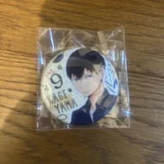 ハイキュー 影山飛雄 缶バッジ 制服