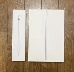 iPad mini(第5世代) WiFi,64GB + Apple Pencil