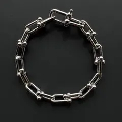 限定復活‼️石なしタイプ シルバー チェーンネックレス &シルバー 