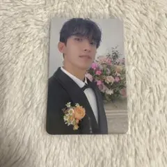 SEVENTEEN DK ドギョム FML Carat版 トレカ