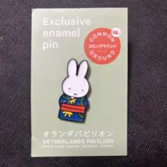 2026年最新】オランダ館ピンバッジの人気アイテム - メルカリ