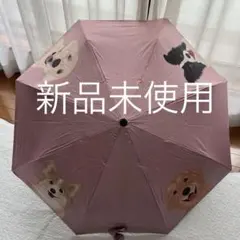 Item thumbnail for item 47773819-94cc-4401-9ff6-27da289e8625