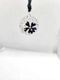 Item thumbnail for item b5fd55e7-bf61-48cf-bb38-69e25b1a74df