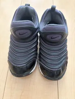 Nike ナイキ　ダイナモフリー　21cm