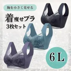 ナイトブラ 6L シームレスブラ ノンワイヤー 大きいサイズ 美胸 着痩せ 3枚