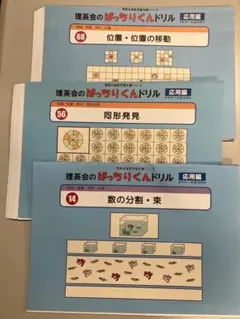 専用（レモンちゃん様）