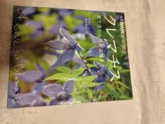 Item thumbnail for item 905b4a89-8023-4174-8265-2a370f3a24fd