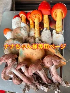 ナナちゃん様専用ページ