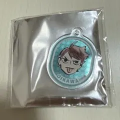 ハイキュー!!アクリルフェイスチャームコレクション