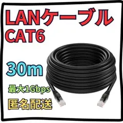 LANケーブル CAT6 30m 最大1Gbps