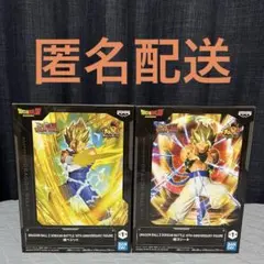 DRAGON BALL Z DOKKAN BATTLE ベジット　ゴジータ