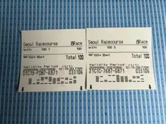 コリアスプリント　単勝馬券2枚セット　現地　アメリカンステージ　ドラゴンウェルズ