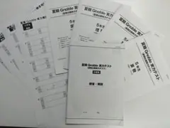グノーブル小5 グノレブ実力確認テスト　2024年度　全12回分　使用原本 グノーブル5年生 グノレブ実力確認テスト 全12回分 - メルカリ