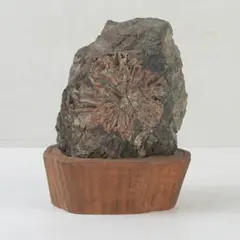 Item thumbnail for item 83de0ea8-b0f6-4b17-a6c0-541fe2b594cf