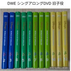 2026年最新】sing along dvdの人気アイテム - メルカリ