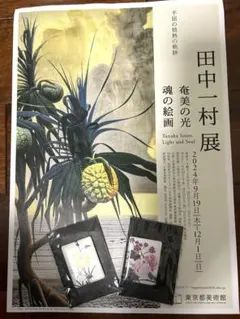 2026年最新】田中一村ポストカードの人気アイテム - メルカリ