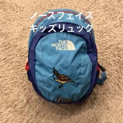 (使用感あり)THE NORTH FACE 小型リュック 青色 鳥刺繍
