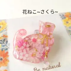 【花ねこ~さくら~】レジンヘアゴム　ブローチ　ペンダント　ドライフラワー　桜