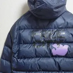 Item thumbnail for item c3641c5b-ae59-49c4-9f61-bb5b215c7b1e