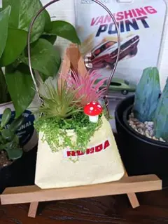 リメイク缶　フェイクグリーン　多肉植物　インテリア雑貨　ガーデニング　炭　消臭