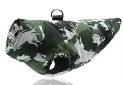 Item thumbnail for item ed959758-9182-42f5-b537-8c96908f30a3