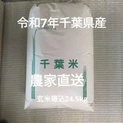 令和7年 熊本県産 ヒノヒカリ 20kg 白米 新米 菊池米 | Mercari