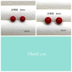 赤珊瑚　スタッドピアス　サージカルステンレス　シルバー