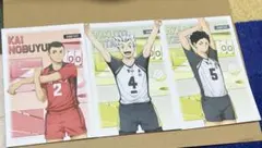ハイキュー‼︎ 主将 副主将 フェア アニメイト 特典 ポストカード