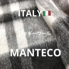 イタリーMANTECO シャギーウール生地